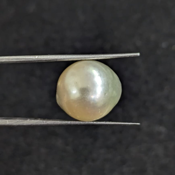 Golden South Sea Pearl ~ 14.32 Cts