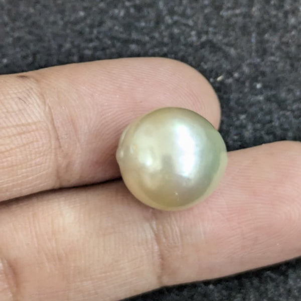 Golden South Sea Pearl ~ 14.32 Cts