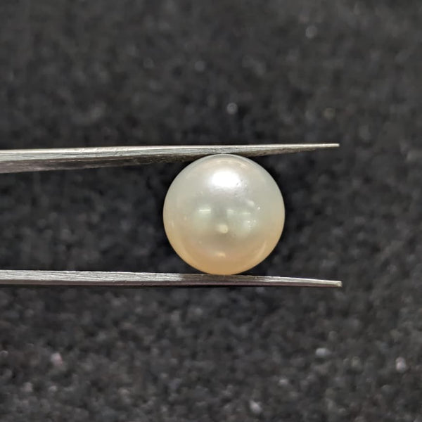 South Sea Pearl ~ 12.98 Cts
