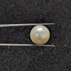 South Sea Pearl ~ 15.64 Cts