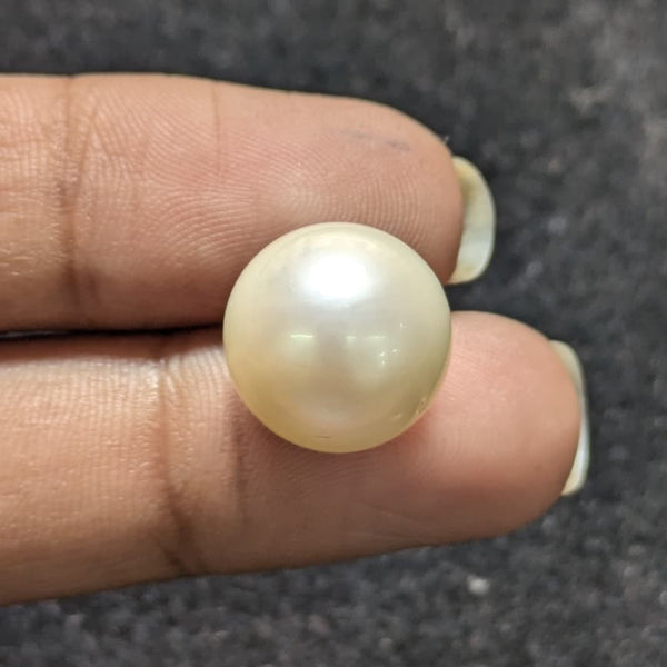 South Sea Pearl ~ 15.64 Cts