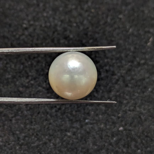 South Sea Pearl ~ 13.38 Cts