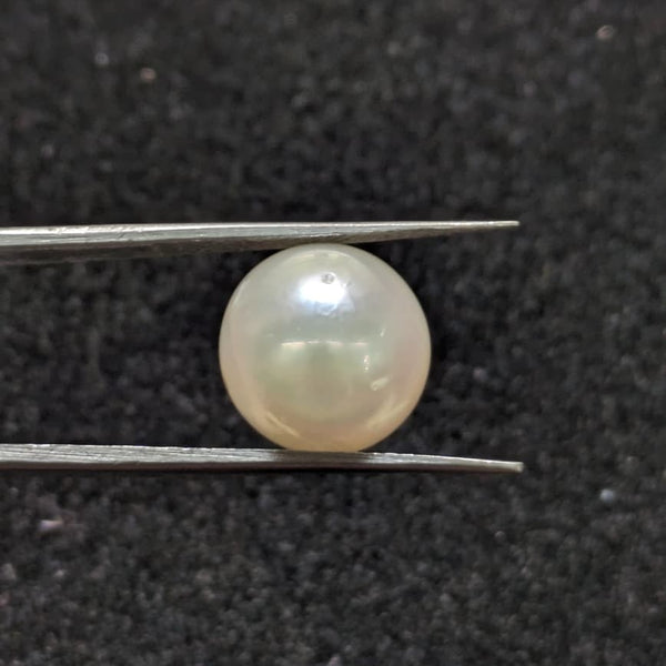 South Sea Pearl ~ 12.78 Cts