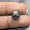 South Sea Pearl Black ~ 7.35 Cts