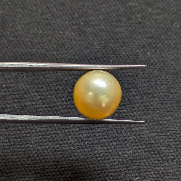 South Sea Pearl - 5.67 Cts