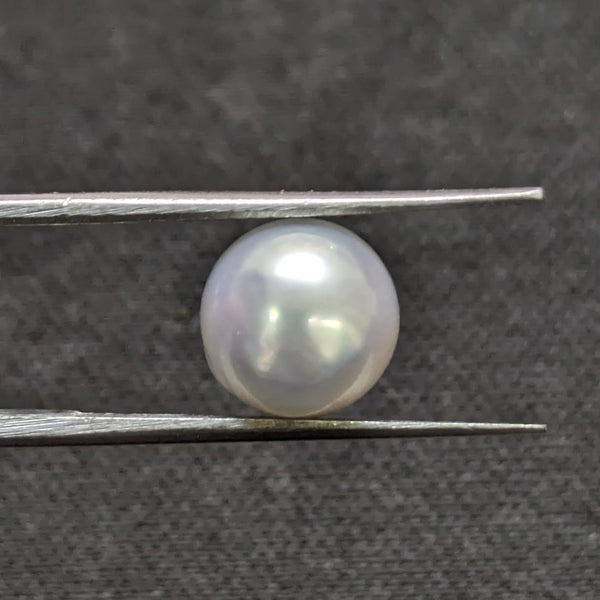 South Sea Pearl - 5.06 Cts