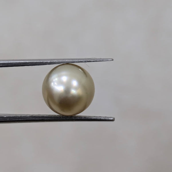 South Sea Pearl ~ 4.22 Cts