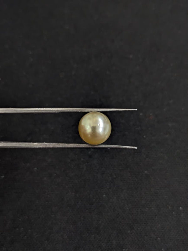 South Sea Pearl~ 4.86 Cts