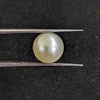 South Sea Pearl~5.62 Cts