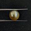 South Sea Pearl~5 Cts