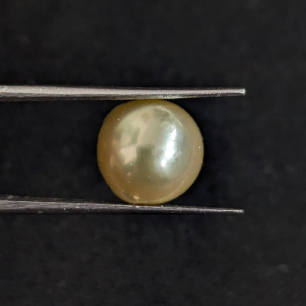 South Sea Pearl~5.89 Cts