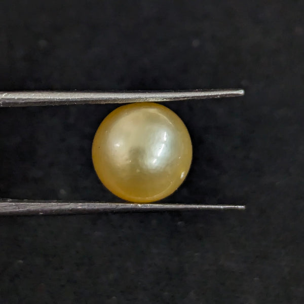 South Sea Pearl~5.03 Cts
