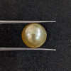 South Sea Pearl~6.62 Cts