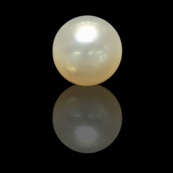 South Sea Pearl ~ 15.40 Cts