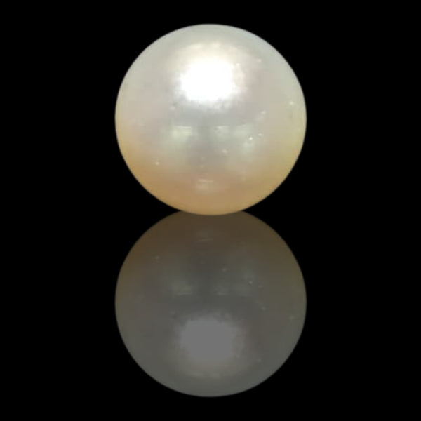 South Sea Pearl ~ 13.38 Cts