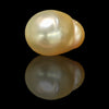 Golden South Sea Pearl - 8.59 Cts