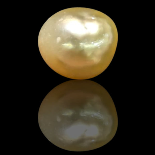 Golden South Sea Pearl ~ 10.12 Cts