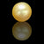 Golden South Sea Pearl ~ 11.78 Cts
