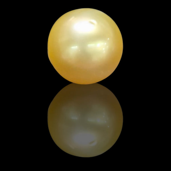 Golden South Sea Pearl ~ 11.78 Cts