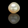 Golden South Sea Pearl ~ 12.15 Cts