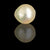 Golden South Sea Pearl ~ 14.32 Cts