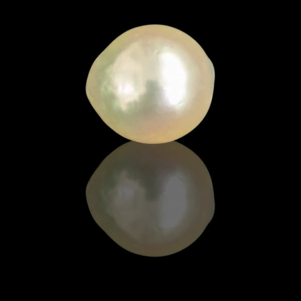 Golden South Sea Pearl ~ 14.32 Cts