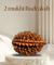 2 Mukhi Rudraksha