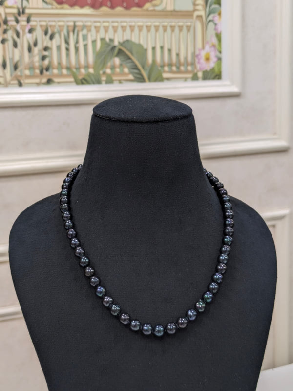 Black tahitian Pearl Necklace