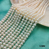 5 - 5.5mm Freshwater Pearl Strand