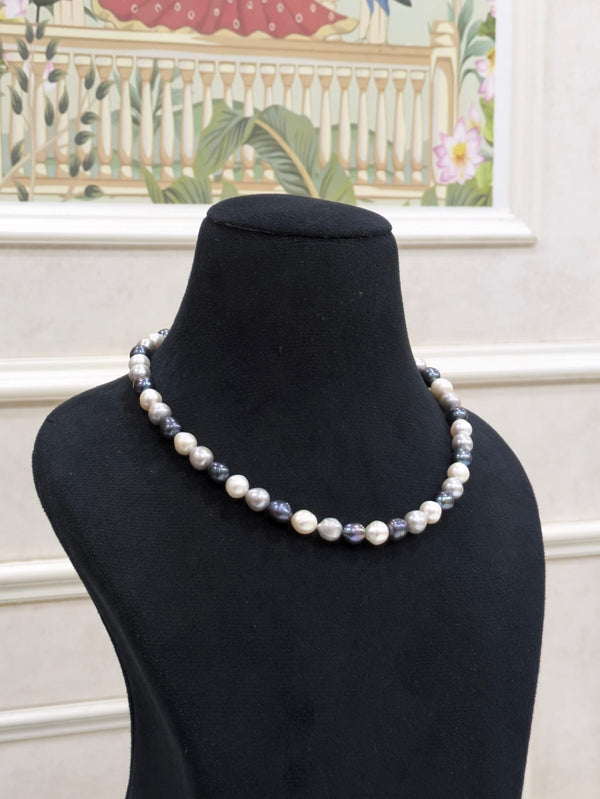 Multi Colour Fresh Water Pearl Necklace