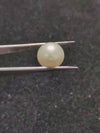 South Sea Pearl ~ 12.98 Cts