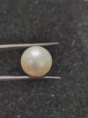 South Sea Pearl ~ 13.38 Cts