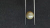 South Sea Pearl~5.16 Cts