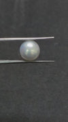 South Sea Pearl - 5.06 Cts