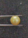 Golden South Sea Pearl ~ 11.78 Cts