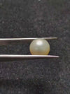 South Sea Pearl ~ 10.26 Cts