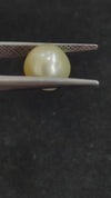 South Sea Pearl~ 4.96 Cts