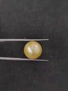 Golden South Sea Pearl ~ 13.10 Cts