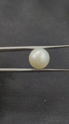 South Sea Pearl ~ 6.84 Cts