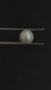 South Sea Pearl ~ 4.09 Cts
