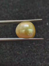 Golden South Sea Pearl ~ 9.62 Cts