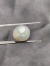 South Sea Pearl ~ 7.19 Cts