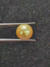 Golden South Sea Pearl ~ 10.60 Cts