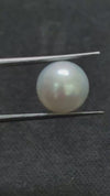 South Sea Pearl - 5.43 Cts