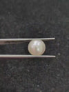 South Sea Pearl ~ 7.56 Cts