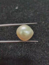 Golden South Sea Pearl ~ 12.15 Cts