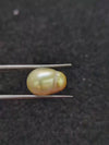 Golden South Sea Pearl - 8.59 Cts