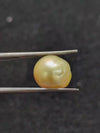 Golden South Sea Pearl - 9.36 Cts