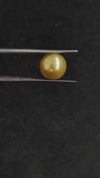 South Sea Pearl ~ 6.01 Cts