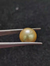 Golden South Sea Pearl ~ 10.12 Cts